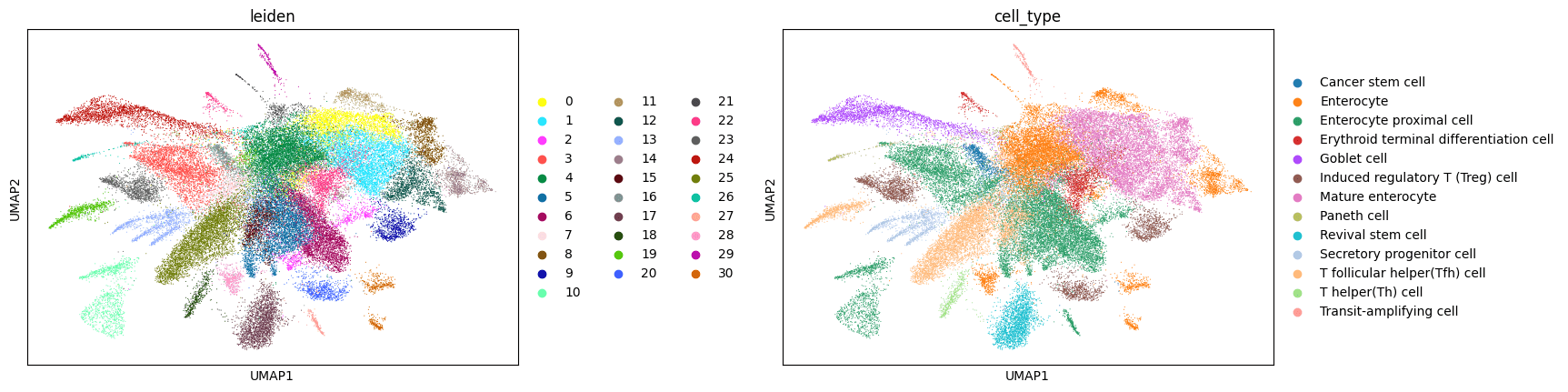 Side-by-side UMAP plots of intestinal epithelial scRNA-seq data: left panel shows 31 Leiden clusters by number, right panel shows the same cells annotated by cell type including enterocytes, goblet cells, Paneth cells, T cells, and cancer stem cells