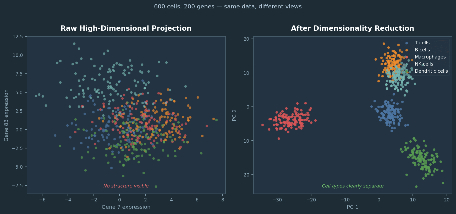 Side-by-side scatter plots showing 600 simulated cells: the left panel shows the same data projected from raw high-dimensional space with no discernible structure; the right panel shows clean, well-separated cell type clusters after dimensionality reduction