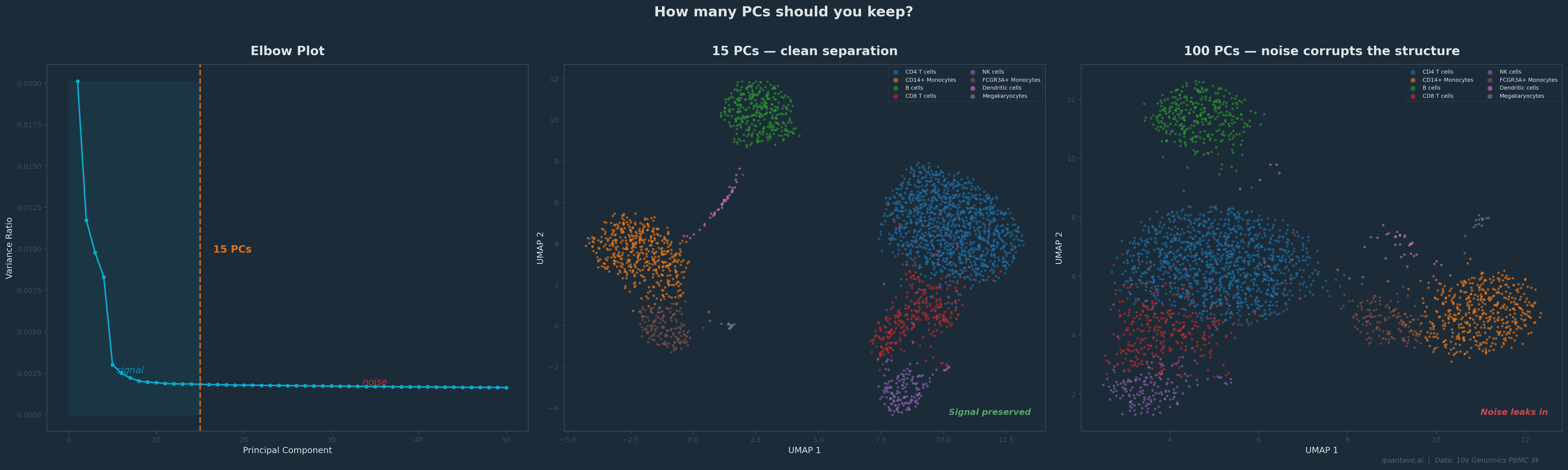 Three-panel figure using the 10x Genomics PBMC 3k dataset. Left panel: elbow plot of variance ratio per principal component, with a dashed orange vertical line marking 15 PCs and signal and noise regions labeled. Center panel: UMAP embedding computed from 15 PCs showing clean, well-separated immune cell type clusters. Right panel: UMAP computed from 100 PCs showing noisier, less-separated clusters, demonstrating that including too many PCs lets noise corrupt the embedding.