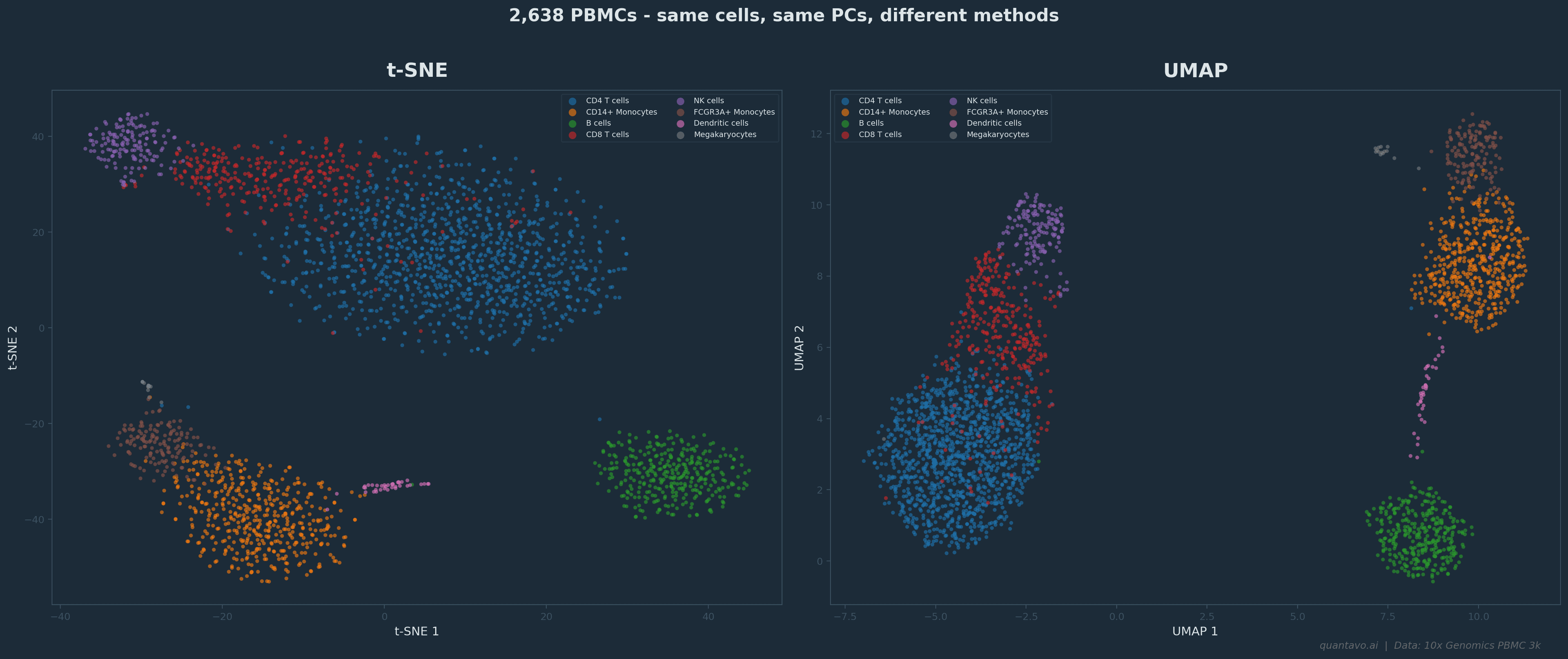 Side-by-side comparison of t-SNE (left) and UMAP (right) embeddings of 2,638 PBMCs from the 10x Genomics PBMC 3k dataset. Both embeddings computed from the same top 30 of 50 PCs. t-SNE shows tight, fragmented clusters with arbitrary global positions; UMAP shows better-preserved global structure with identifiable immune cell type clusters including CD4 T cells, CD8 T cells, B cells, NK cells, CD14+ Monocytes, FCGR3A+ Monocytes, Dendritic cells, and Megakaryocytes.